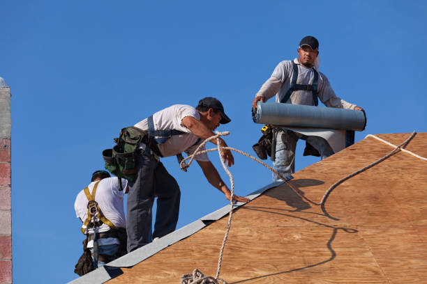 Best Metal Roofing Contractor  in Youngsville, PA